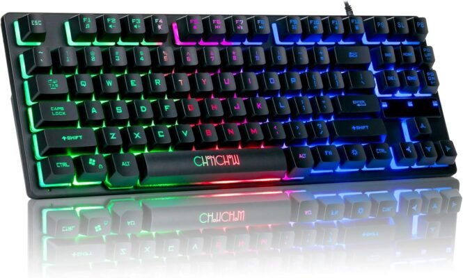 87-Key RGB Backlit Compact Gaming Keyboard - USB Wired Tenkeyless Keyboard